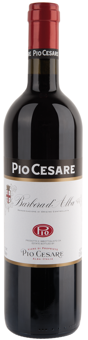 Pio Cesare Barbera d’Alba DOC 2020