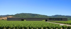 Dominus Estate winery and vineyards