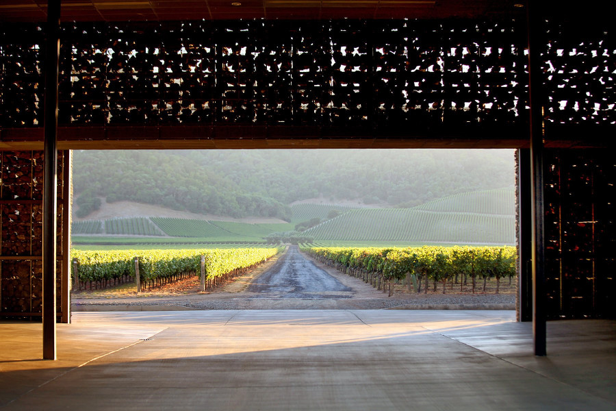 Dominus Estate vineyards