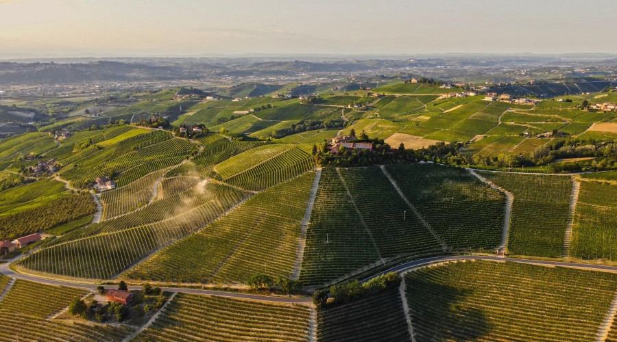 Pio Cesare Il Bricco estate in Barbaresco