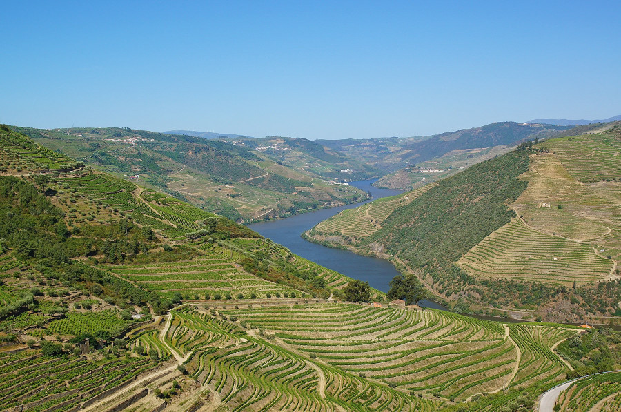 Ramos Pinto Douro Valley region