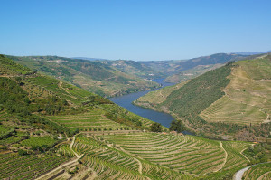 Ramos Pinto Douro Valley region