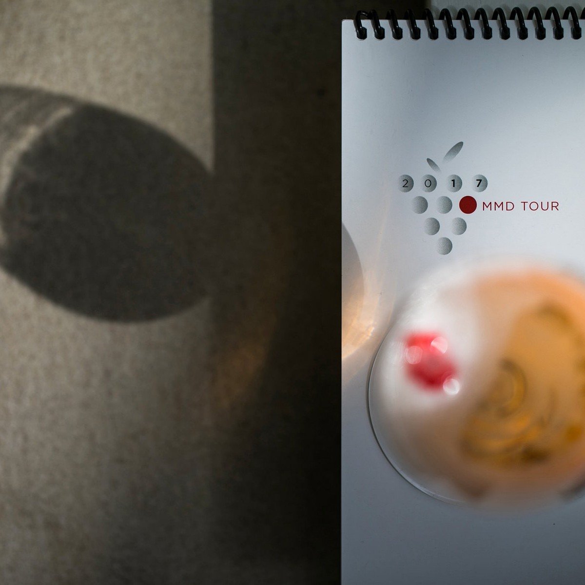 MMD Tour 2017