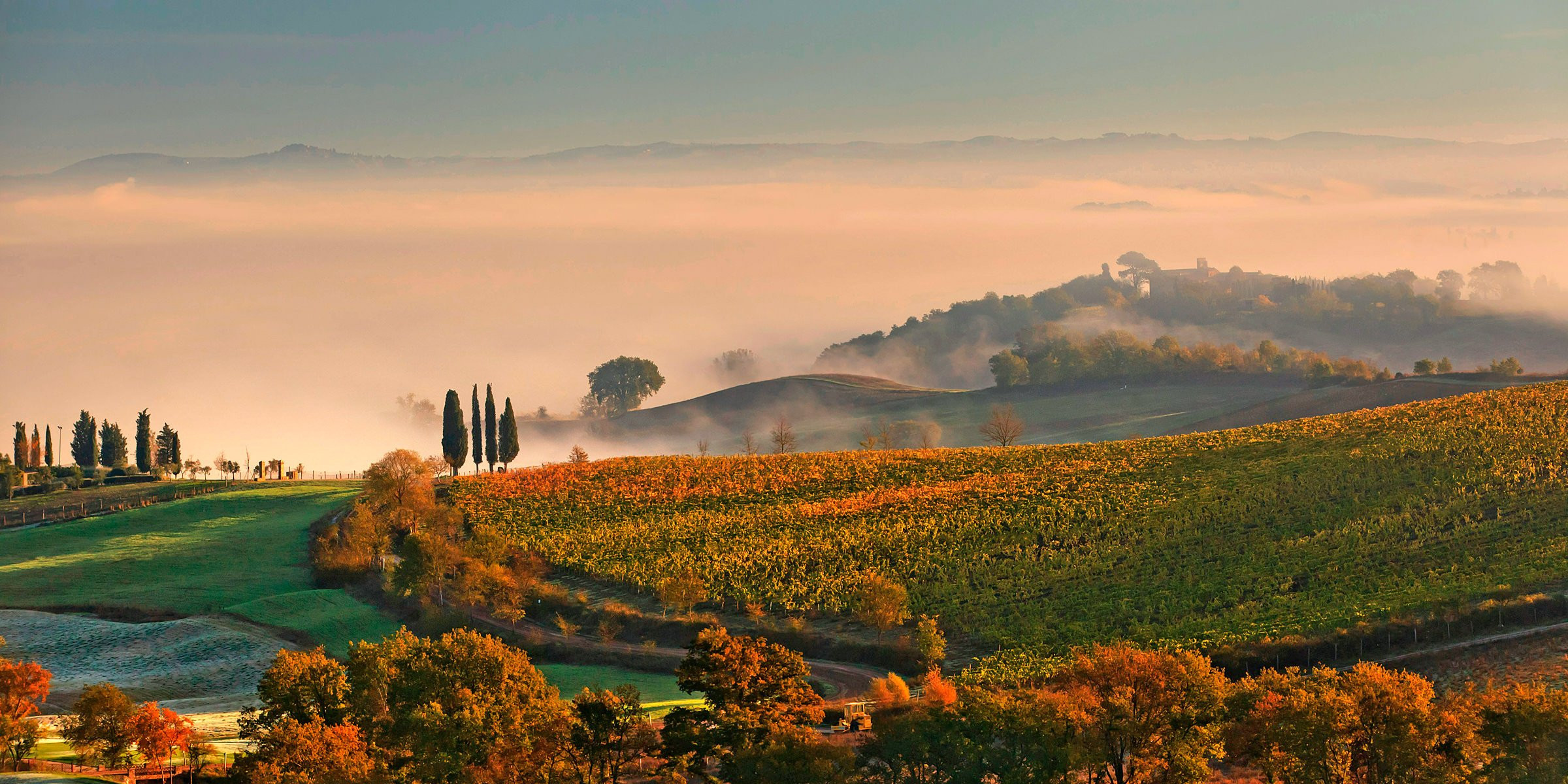 Castiglion del Bosco 