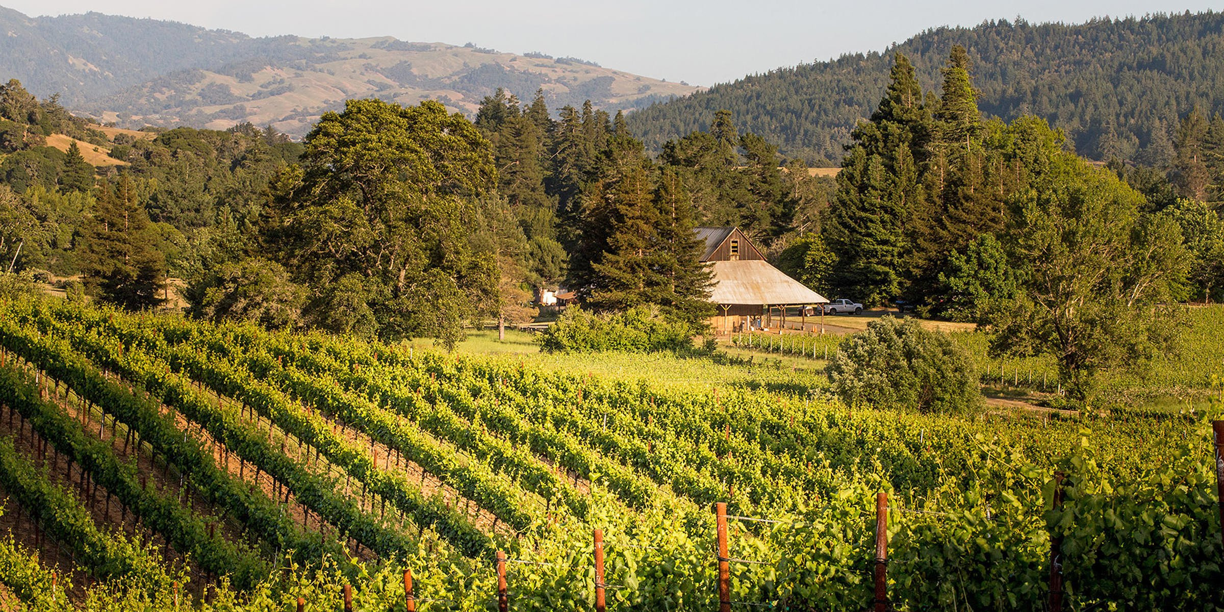 Scharffenberger Cellars