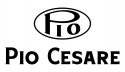 Logo for Pio Cesare