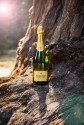 Photography for Scharffenberger Cellars Brut Excellence