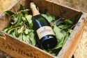 Photography for Scharffenberger Cellars Brut Excellence