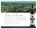 Sell Sheet for Pio Cesare Barbaresco Il Bricco DOCG 2015