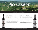 Sell Sheet for Pio Cesare Barolo Ornato DOCG 2014